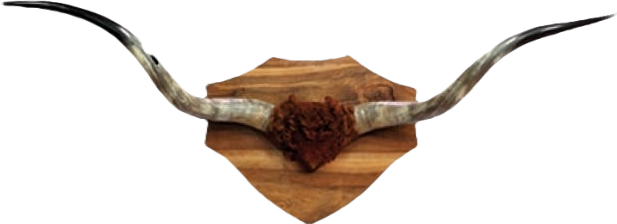 Macelleria Rigamonti